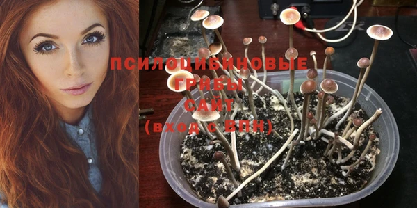 марихуана Белокуриха